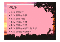 노인자살예방-노인자살현황, 노인자살의 원인과 예방대책-2