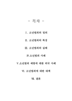 소년범죄원인대책레포트-2