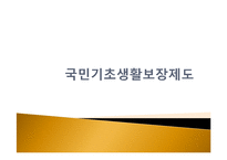 복지국가에서의 가족정책의 지위와 역할-13
