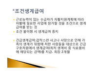 복지국가에서의 가족정책의 지위와 역할-20