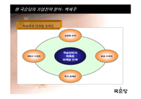 국순당의 성공전략과 회사분석 입니다-17