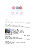 이스타항공 마케팅전략과 이스타항공 경영전략 분석-5