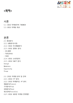 스파오 SPAO 마케팅 4P,STP,SWOT분석과 스파오 새로운 마케팅전략 제안과 기대효과-16