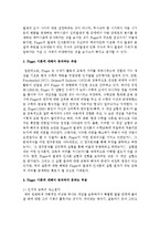 Piaget 이론이 가지고 있는 제한점에 대해서 예를 들어 기술하고, Piaget 이론에 대해서 동의하는 부분과 동의하지 못하는 부분에-3
