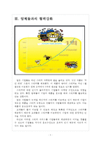 [모바일메신저시장] 라인과 카카오톡의 경영전략 비교분석 보고서-5