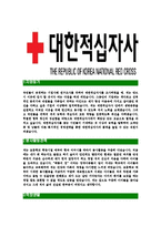 [대한적십자사-최신공채합격자기소개서]대한적십자사자소서,대한적십자사자기소개서,대한적십자사자소서,대한적십자사자기소개서,대한적십자사자소서,대한적십자사-3