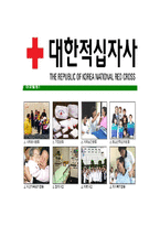 [대한적십자사-최신공채합격자기소개서]대한적십자사자소서,대한적십자사자기소개서,대한적십자사자소서,대한적십자사자기소개서,대한적십자사자소서,대한적십자사-5