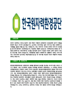 [한국원자력환경공단-최신공채합격자기소개서]한국원자력환경공단자소서,한국원자력환경공단자기소개서,한국원자력환경공단자소서,한국원자력환경공단자기소개서,한국원자력환경공단-3