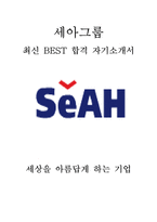 세아그룹 최신 BEST 합격 자기소개서!!!!-1