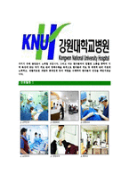 [강원대학교병원-간호사최신공채합격자기소개서]강원대학교병원자소서,강원대학교병원자기소개서,강원대학병원자소서,강원대병원자기소개서,강원대학교병원-5