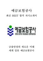 예금보험공사 KDIC 인턴 최신 BEST 합격 자기소개서!!!!-1