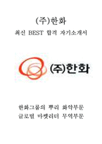 한화 무역부문 수출입 영업 인턴 인턴 최신 BEST 합격 자기소개서!!!!-1