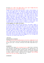 다국적 기업의 현황과 장단점 고찰-5