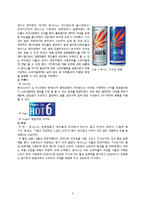 HOT6 핫식스 SWOT 분석 STP전략 및 발전방향-8