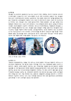 HOT6 핫식스 SWOT 분석 STP전략 및 발전방향-16