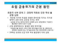 유럽 금융 위기와 경제붕괴-8
