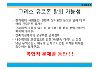 유럽 금융 위기와 경제붕괴-12