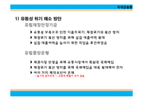 유럽 금융 위기와 경제붕괴-19