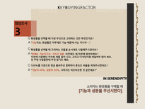 스킨푸드 광고효과 분석-11