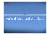 Agile Supply Chain 특징 및 사례 연구-17