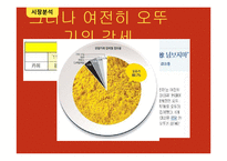 `인델리 커리` 마케팅 전략-6