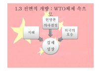중국의 개방과 세계경제-10