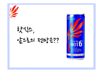 핫식스 SWOT, STP, 4P 분석 및 전략 제언-7