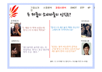 핫식스 SWOT, STP, 4P 분석 및 전략 제언-14