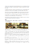 10대부부 증가 현상 분석-12