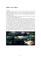 백인 역차별 사례 연구-12