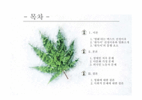 영화 `완득이`와 사회적 약자 고찰-2