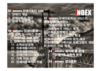 장애아동복지 서비스 분석-2