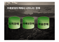 장애아동복지 서비스 분석-8