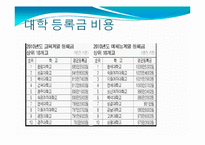 반값 등록금 정책 실현 방안-10