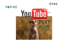 싸이의 강남스타일 인기요인 분석-4