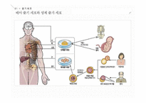 줄기세포와 배아복제에 대하여-5