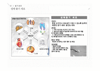 줄기세포와 배아복제에 대하여-7