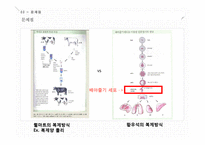줄기세포와 배아복제에 대하여-17