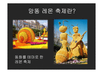 망똥 레몬 축제와 한국 특산물축제의 비교-6