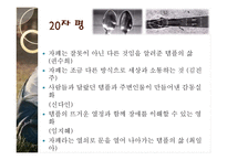 영화 `탬플 그랜딘`과 자폐아 교육에 대하여-4