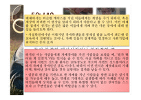 영화 `탬플 그랜딘`과 자폐아 교육에 대하여-8