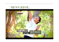 개발과 보전에 대한 국내외 논쟁-8