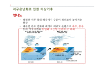 개발과 보전에 대한 국내외 논쟁-16