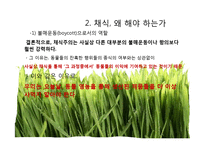 동물해방-제 4장 채식주의자가 된다는 것 고찰-9