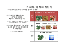 동물해방-제 4장 채식주의자가 된다는 것 고찰-12