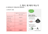 동물해방-제 4장 채식주의자가 된다는 것 고찰-15