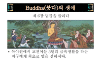 불교의 탄생과 영향-9