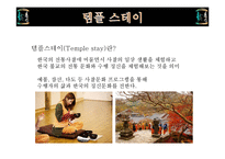 불교의 탄생과 영향-20