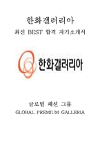한화갤러리아 인턴 최신 BEST 합격 자기소개서!!!!-1