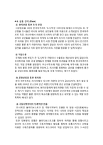 팔도도시락 러시아시장진출 마케팅전략분석과 팔도 현지화성공위한 새로운 마케팅전략 제안-14
